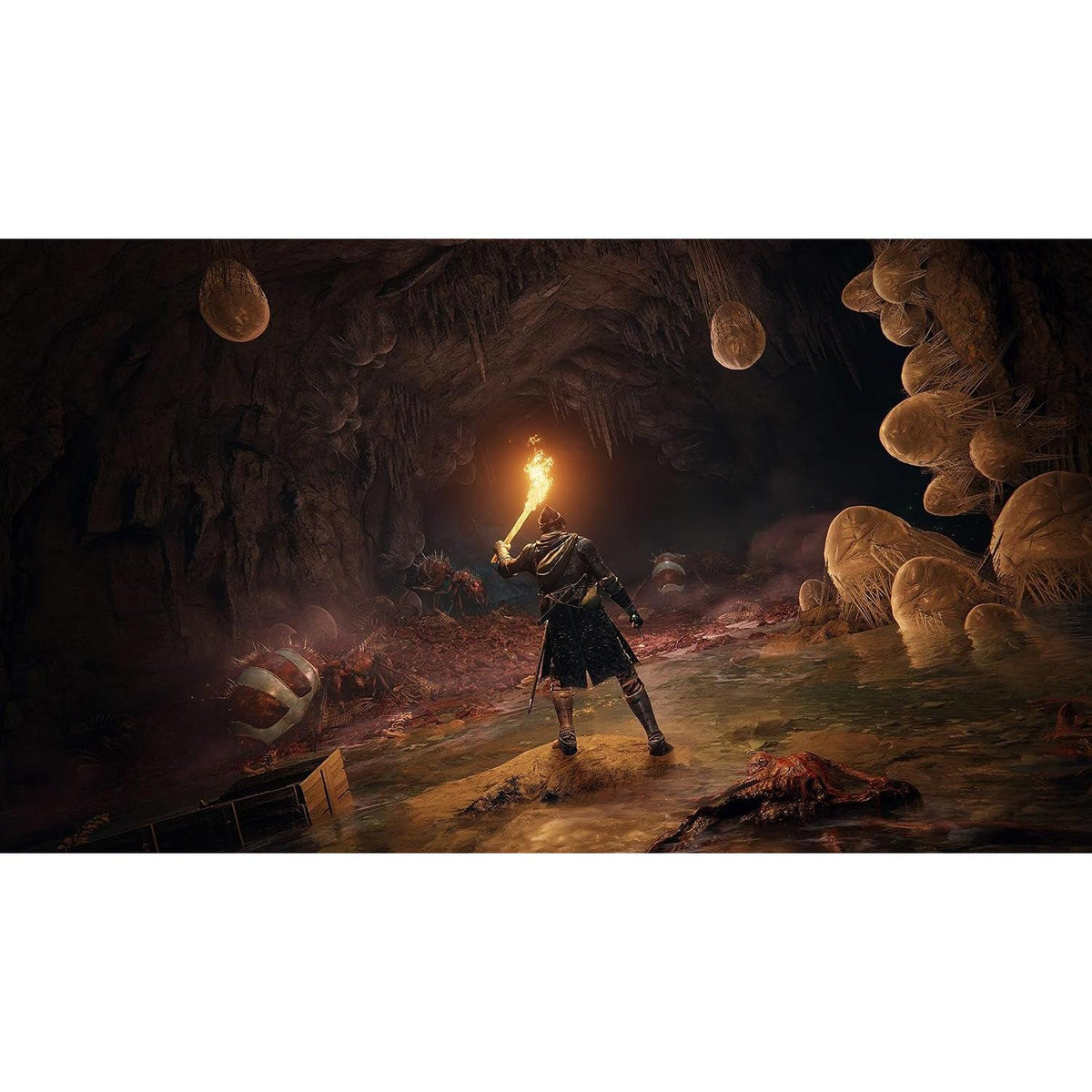 Elden Ring (PS5) (European Version) - fmtshop.net