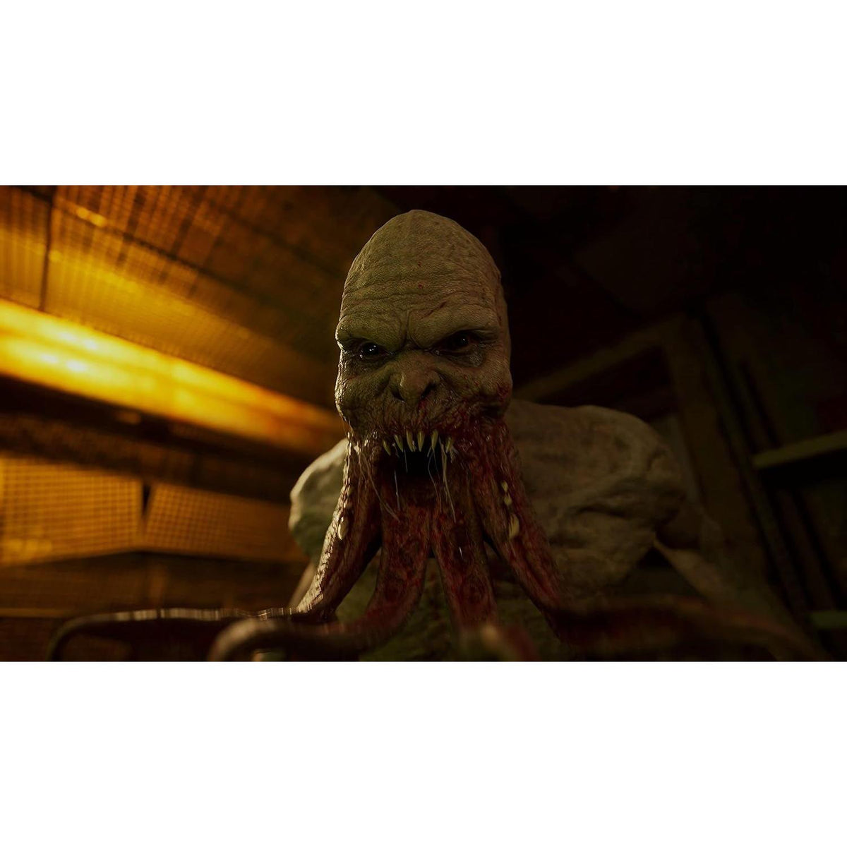 S.T.A.L.K.E.R. 2: Heart of Chornobyl - Playstation 5 - fmtshop.net